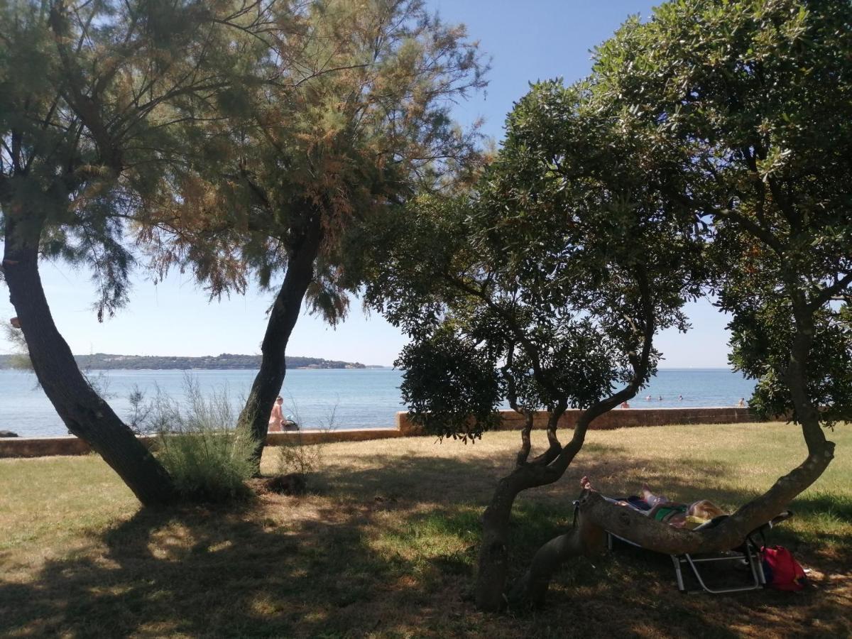 Apartment Vera, 80 M From The Sea Novigrad Istria Esterno foto
