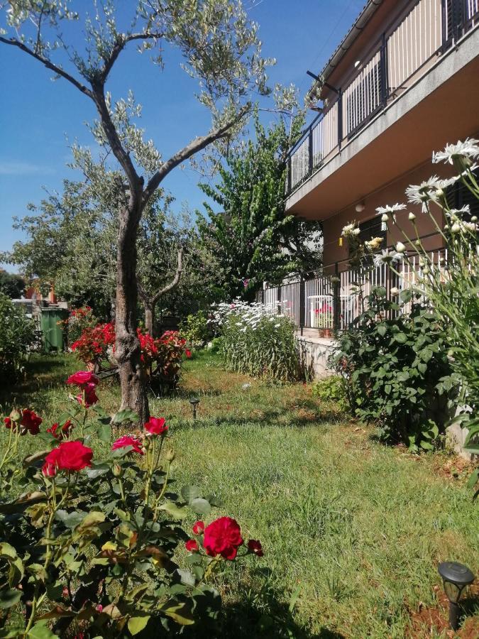 Apartment Vera, 80 M From The Sea Novigrad Istria Esterno foto
